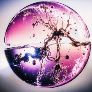 Rachel Jeitz - thérapeute énergéticienne Libérer les mémoires karmiques et transgénérationnelles